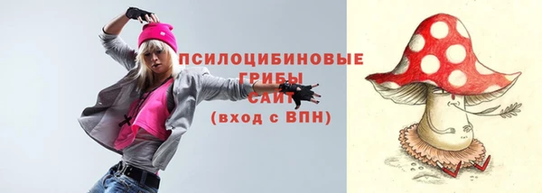 apvp Вяземский