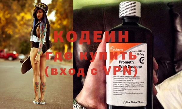 apvp Вяземский