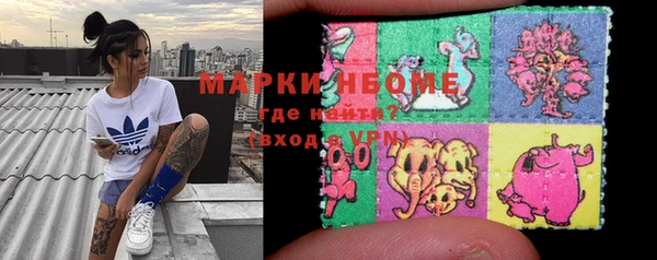 Альфа ПВП Горняк