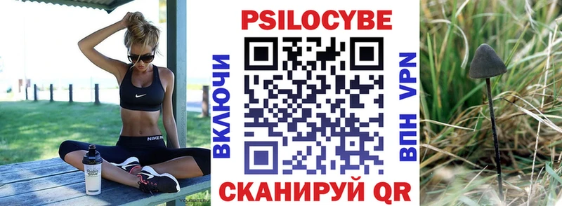 Галлюциногенные грибы Psilocybe Дегтярск