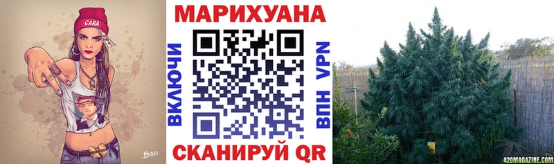 наркота  Дегтярск  Бошки Шишки индика 